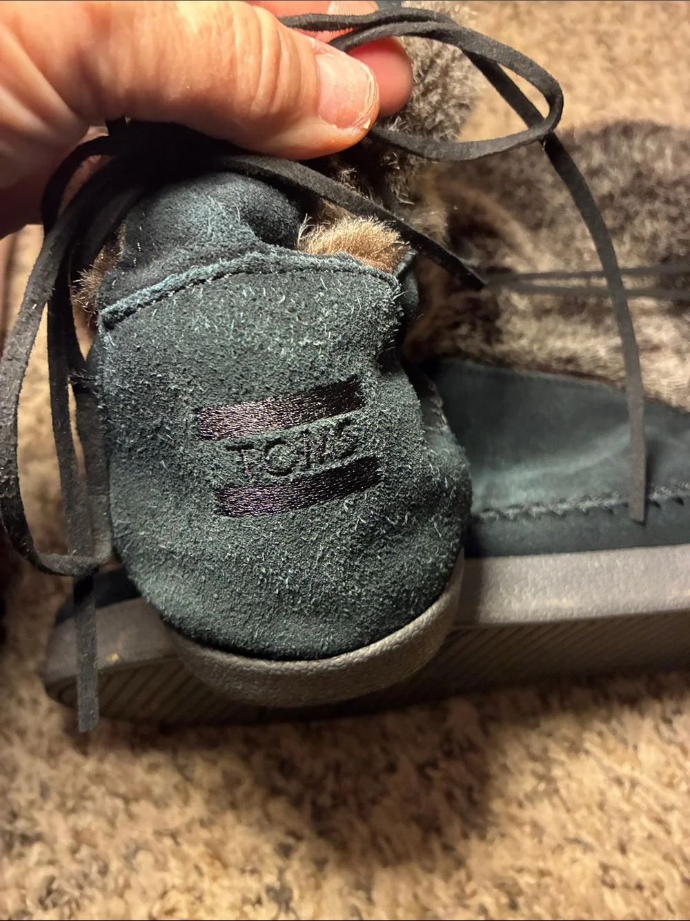 Toms suede shoe